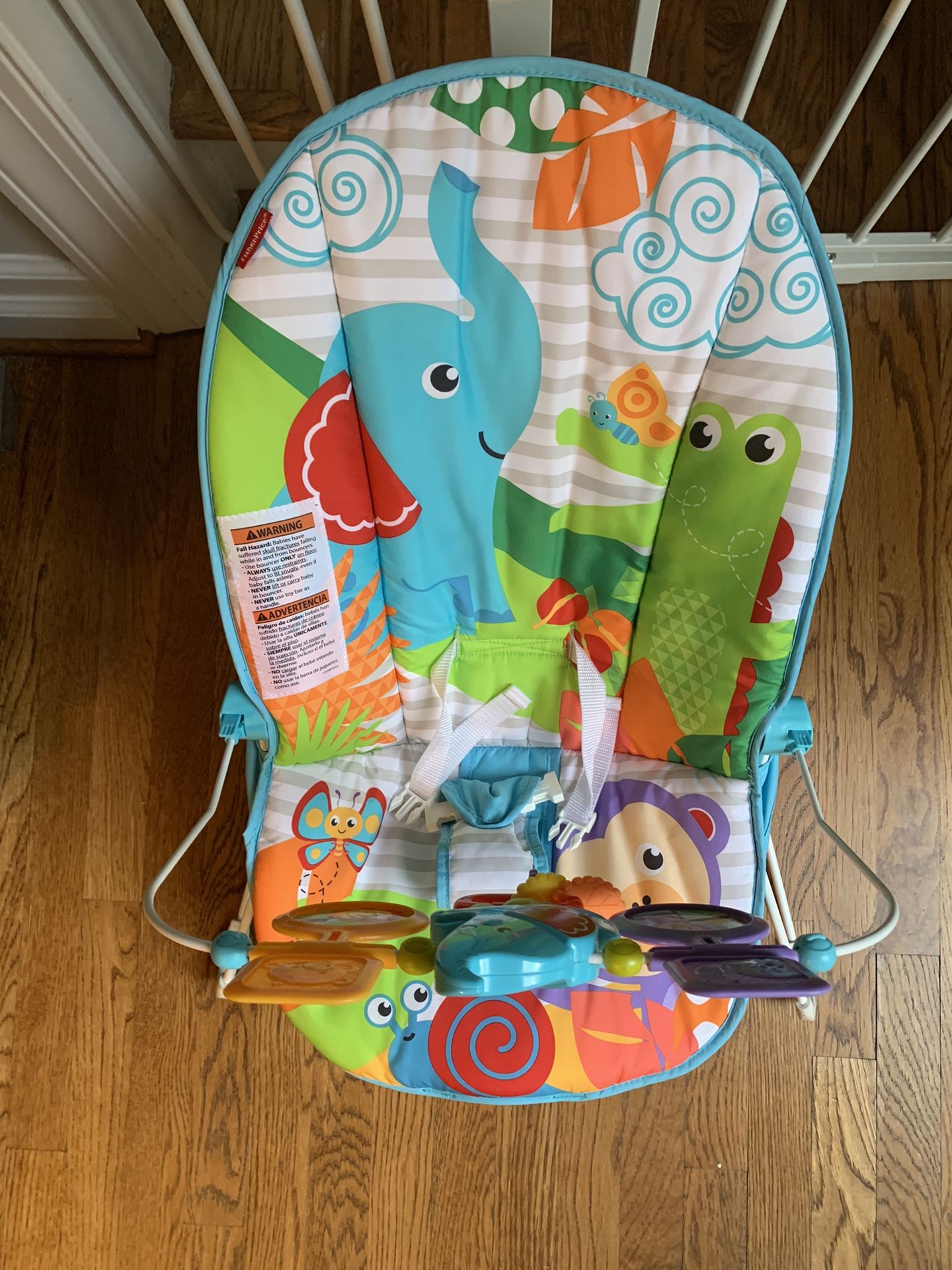 Fisher Price Baby Bouncer
