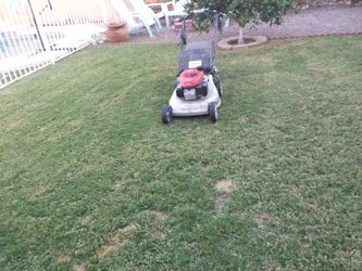 Yard work kep it clean just send me a message thanks.