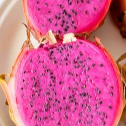 Purple Core Dragon Fruit Seedling Plant In 1 Gallon Pot