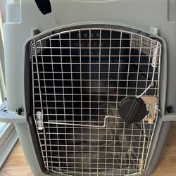 Petmate Sky Kennel and JoicyCo Dog Bed