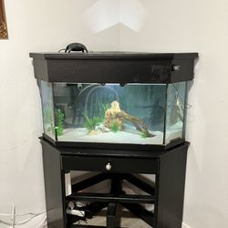 40 Gallon Corner Tank Stand And Lid 