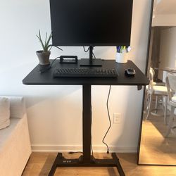 Stand up Desk - Adjustable 