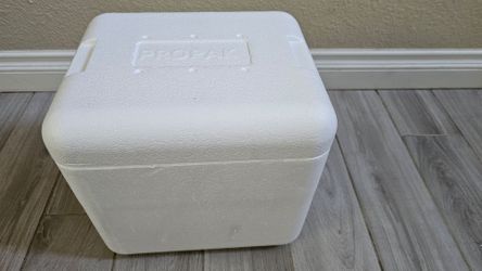 Cooler with 2x gel pack