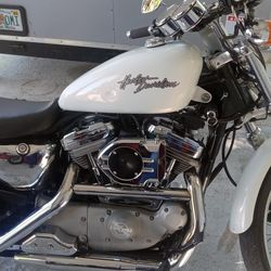 2001 Harley davidson 883 custom