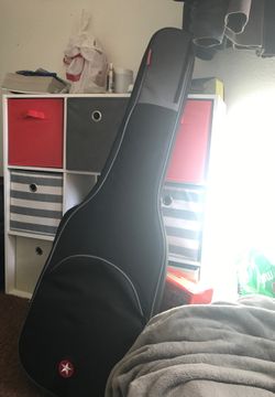 Road Runner guitar case