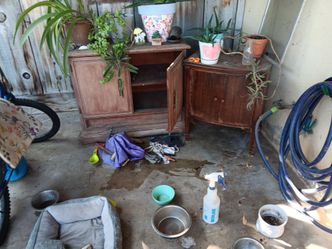 Outside plant stands