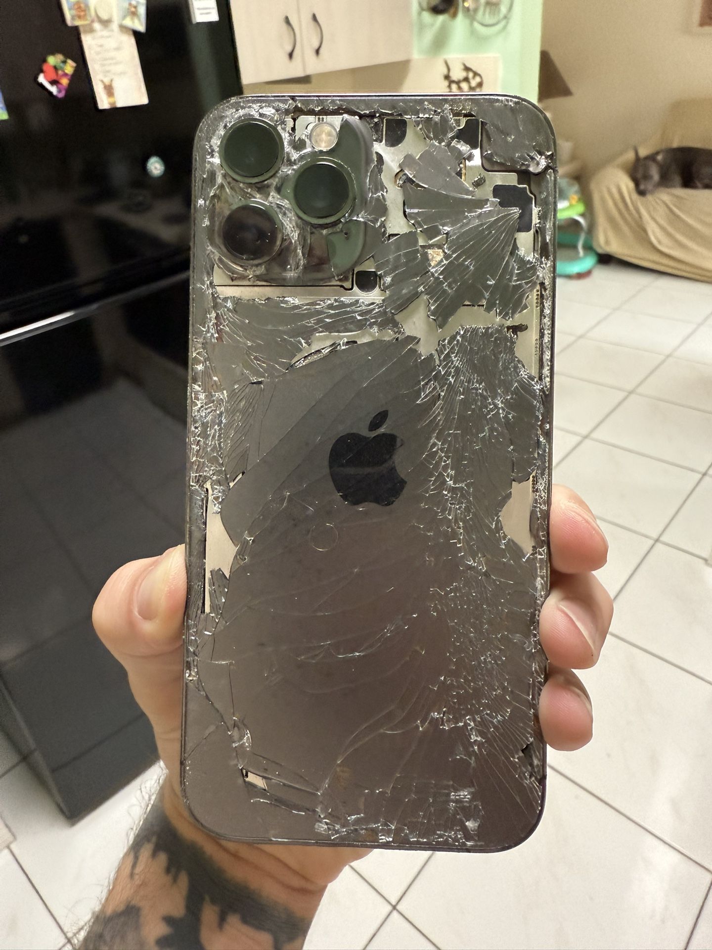 iPhone 12 Pro Max (Damaged) (Unlocked)