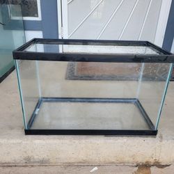 10 Gallon Tank!