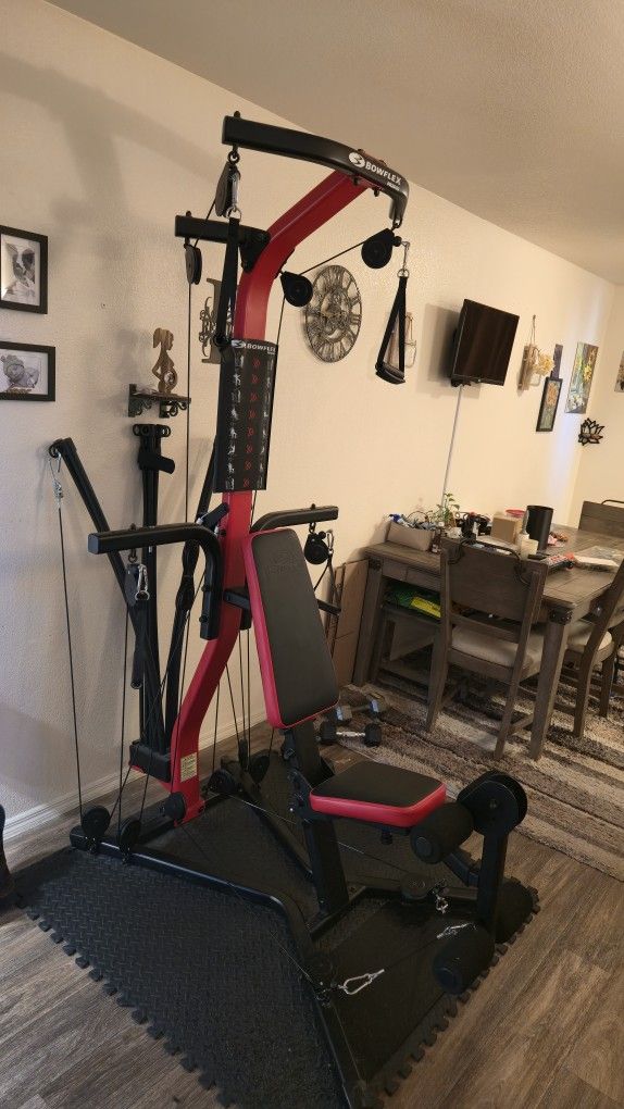 Bowflex PR3000 Home Gym