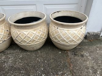 Flower Pots 