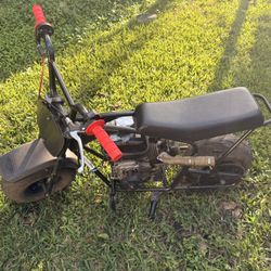 Mini Bike 