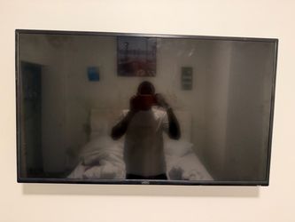 Vizio 45"