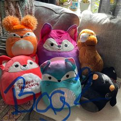 Bag Full Of Squishmallows And Some Other Plushies