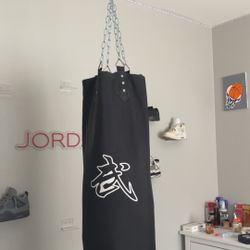 punching bag case 