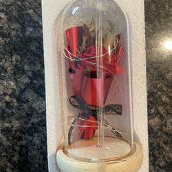 Preserved Rose in Glass with LED Light