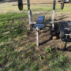 Weight Bench 