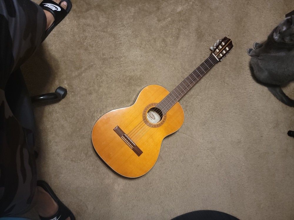 Contessa Guitar