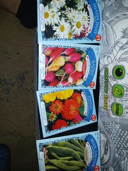 Seeds For Sale 