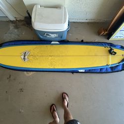 FCS Dayrunner Surfboard