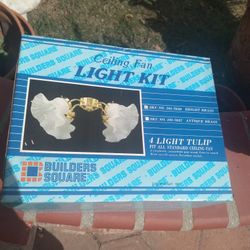 Ceiling Fan Light Kit