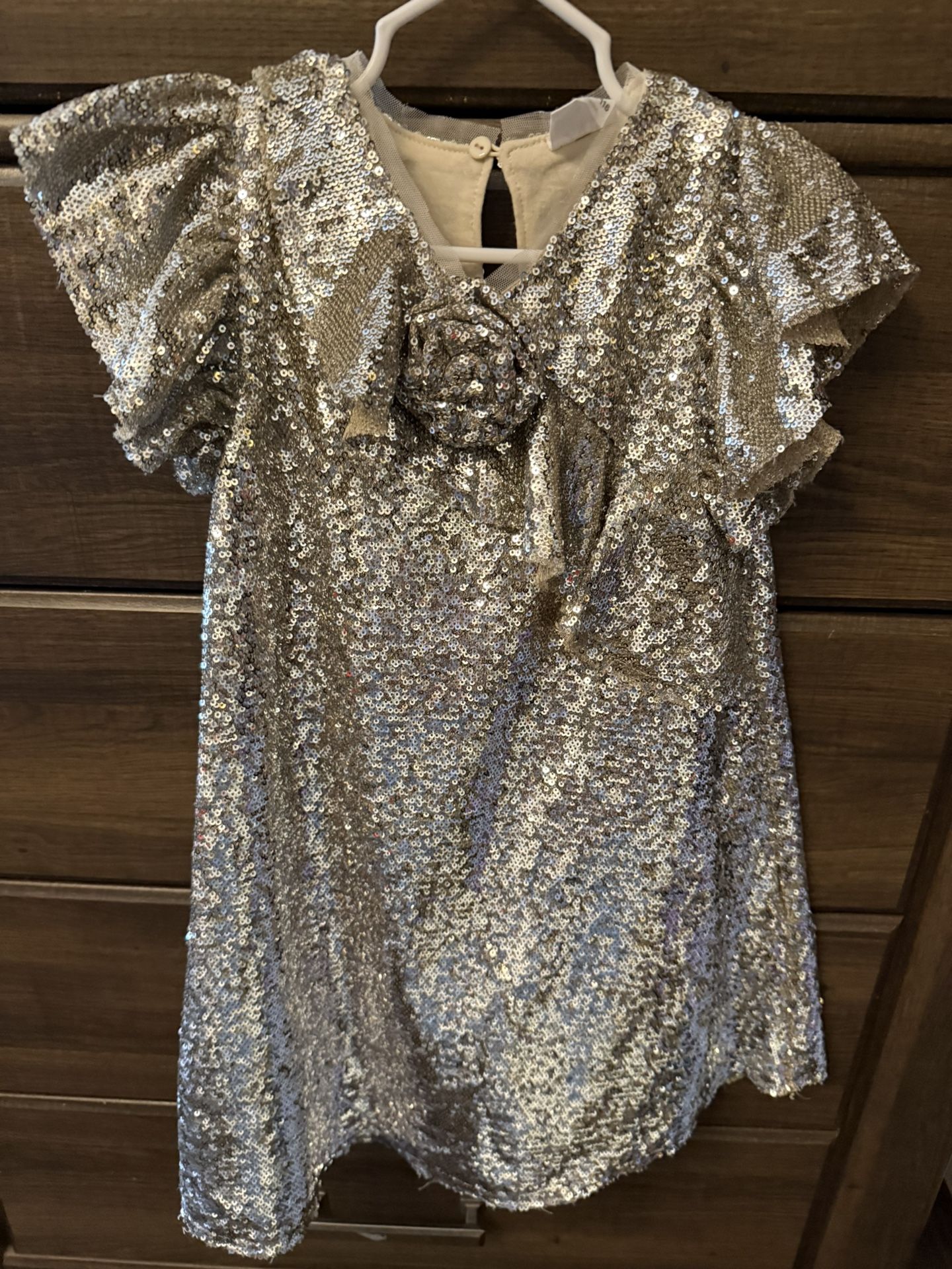 Silver Zara Sequin Dress