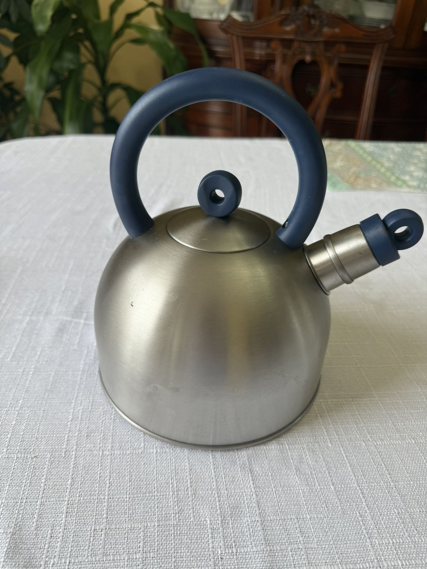 Stainless steel kettle