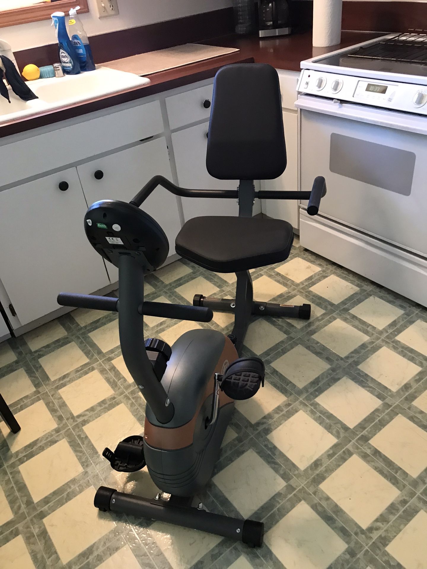 Recumbent Exercise Bike