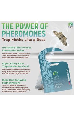 Clothes Moth Traps with Pheromones and Free Cedar Blocks Moth Repellent - Moth  Traps for Clothes - Clothing Moth Traps with Pheromones - Closet Moth T for  Sale in Dover, DE - OfferUp