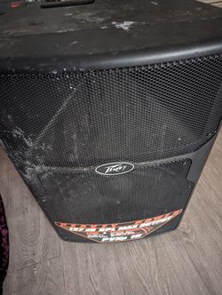Peavey Pvx P15