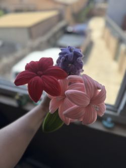 Flowers 💐