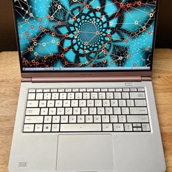 Motile AMD laptop