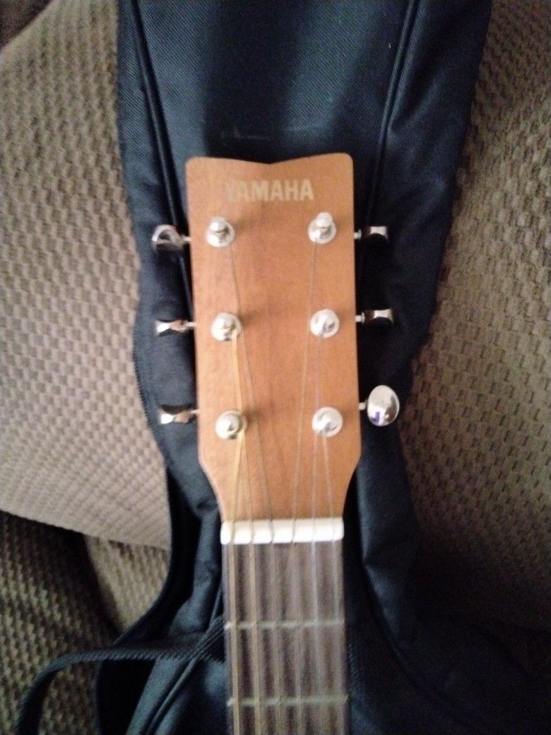 Guitars