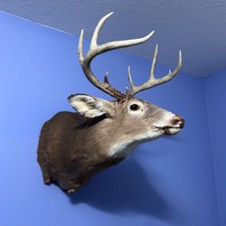 Beautiful wall art take both