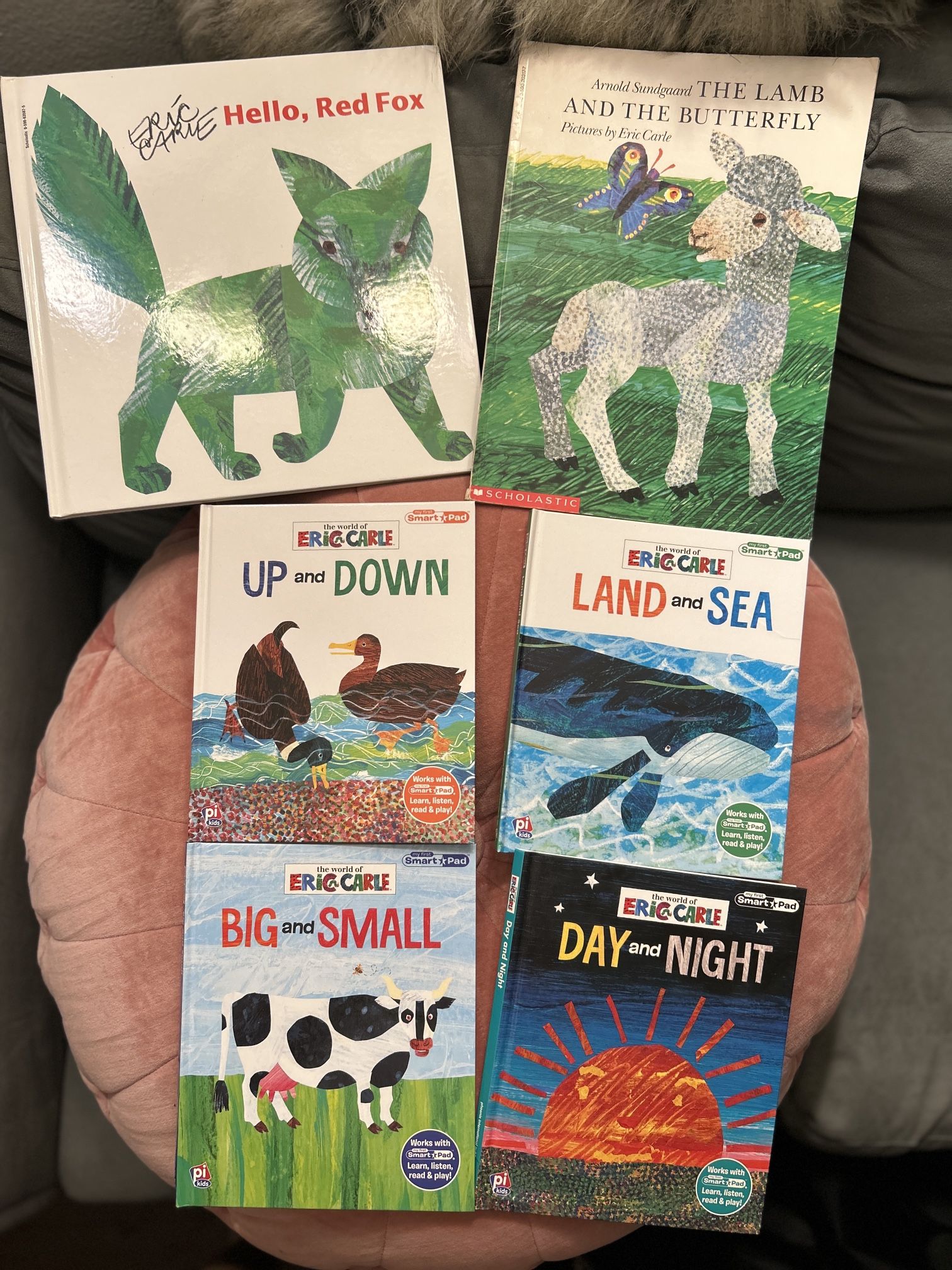 Excellent Collection of Eric Carle lot of 6 Books