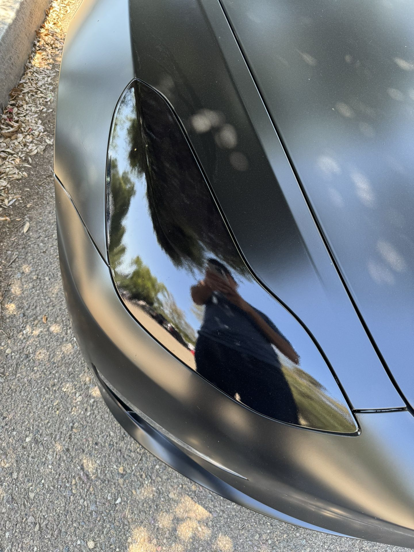 Headlight / Taillight Tint