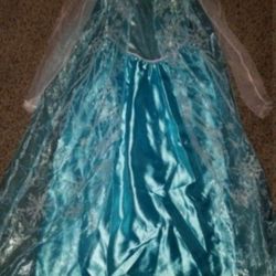 Princess Elsa Size 10/12