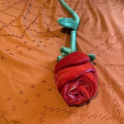 Valentine’s Day Rose 