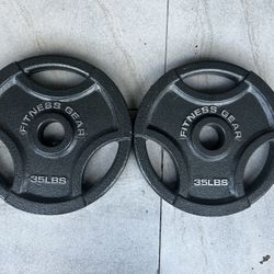 Fitness Gear 35LB Pair plates 