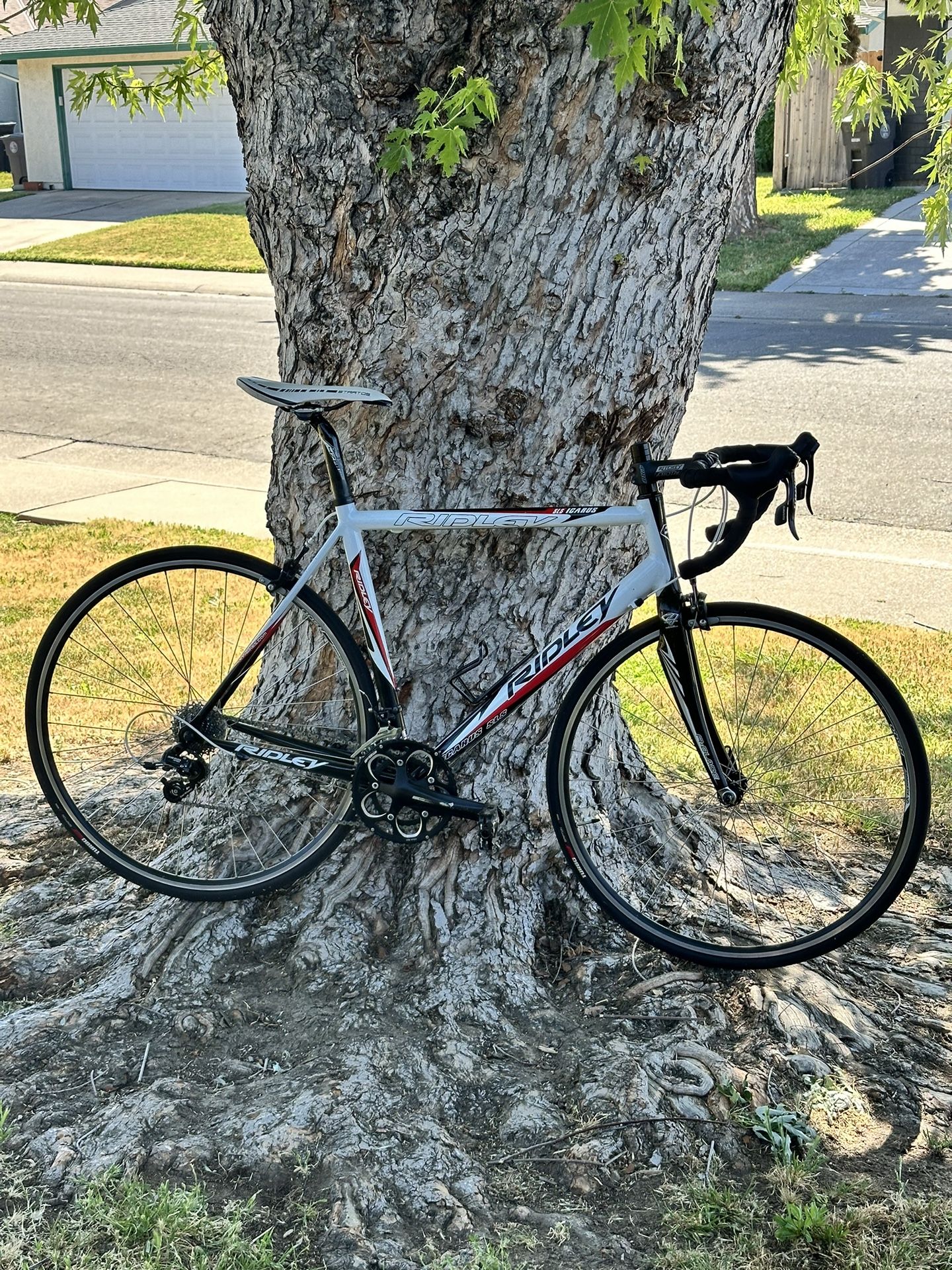 Ridley Road Bike 56cm