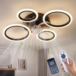 Ceiling  Fan with  light