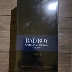Bad Boy Cologne 