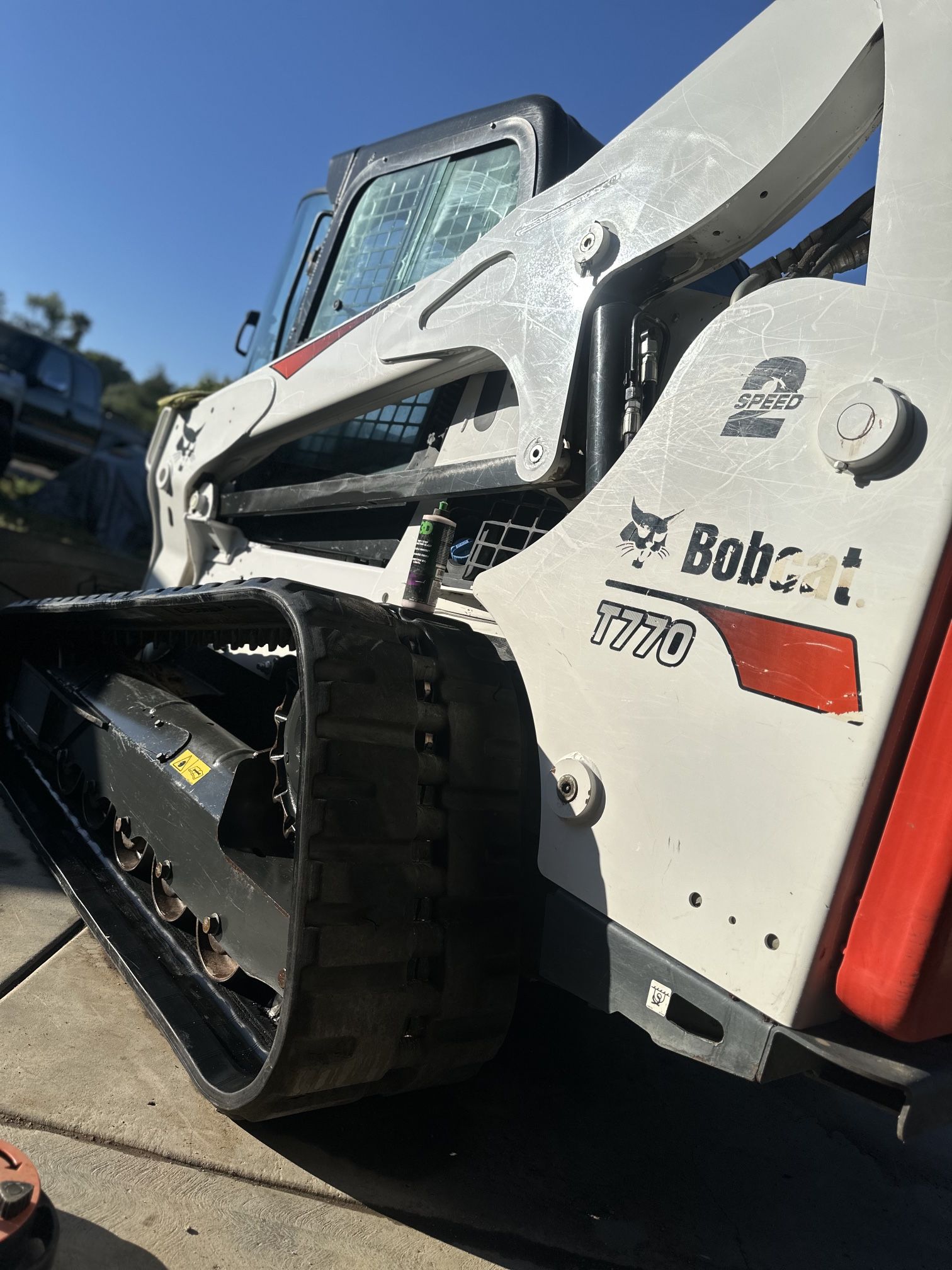 Bobcat