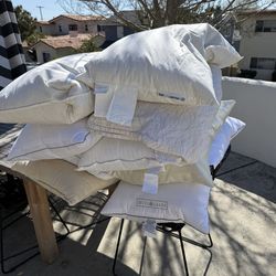 Free pillows  king and standard