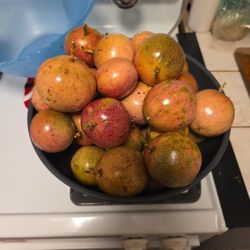 Purple Passion Fruit