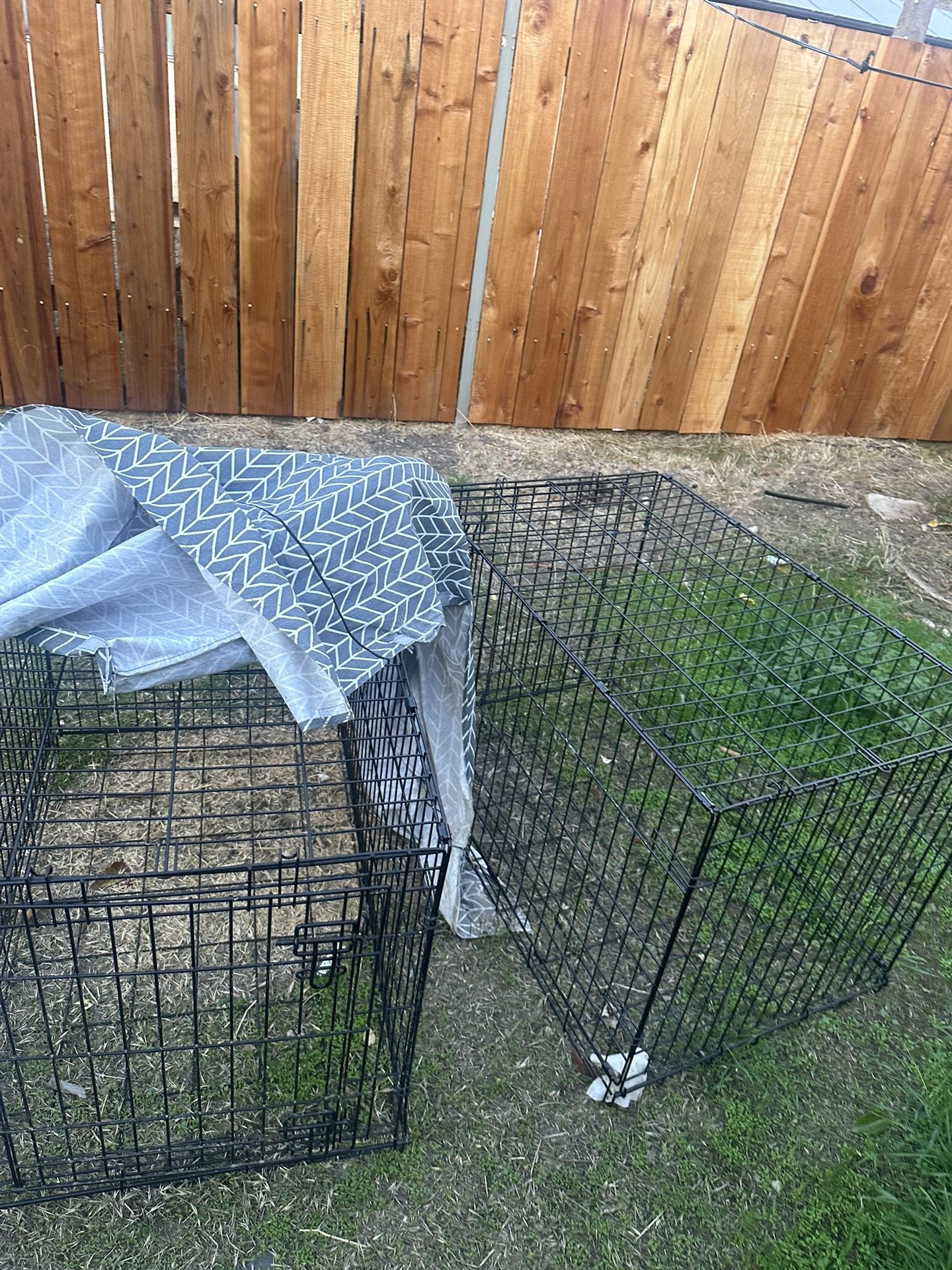 2 Large Dog Crates 50 Each 2 For 80