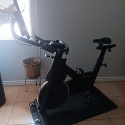 Stationary Exercise Bike