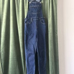 LEVI Skinny Jean Overalls