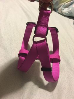 Dog Body Harness