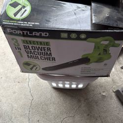 Blower Vacuum And Mulcher