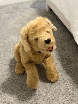 Furreal hasbro dog toy for kid